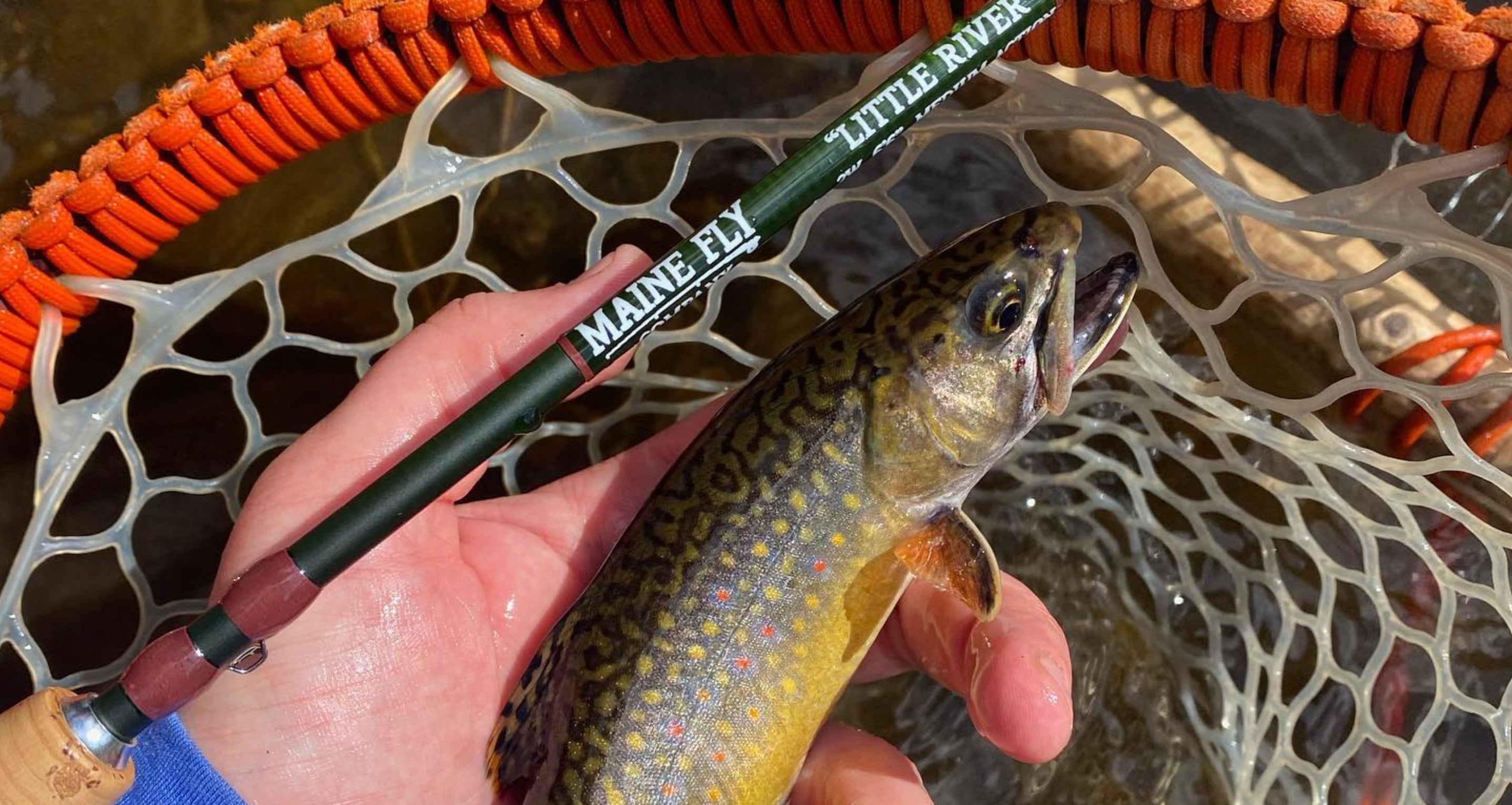 Finding Native Brook Trout - Spring Fly Fishing