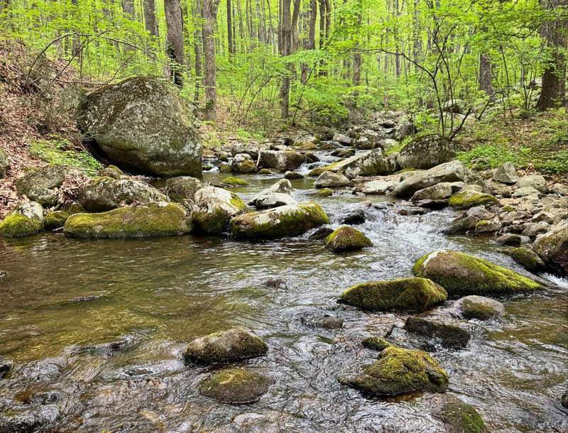 Little Rivers, Reimagined