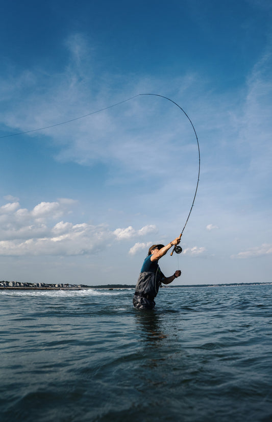 Introduction to Fly Fishing for Striped Bass - 6/20/2026 - Maine Fly Company