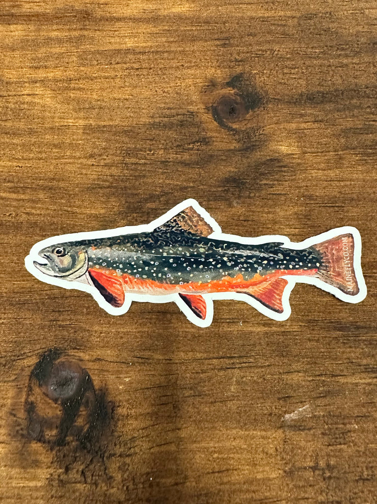 MFC Brook Trout - Maine Fly Company