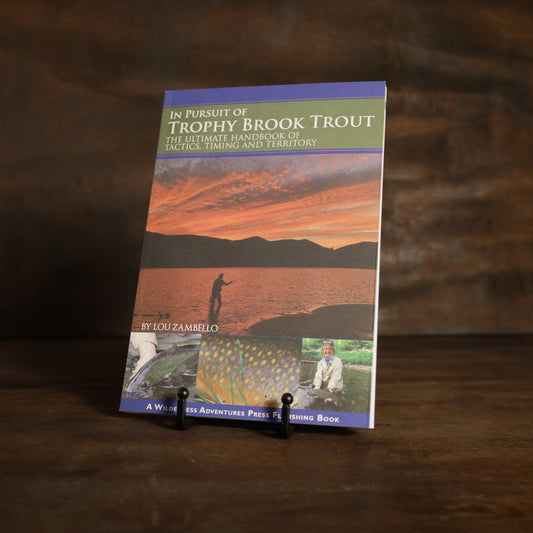 In Pursuit Of Trophy Brook Trout
