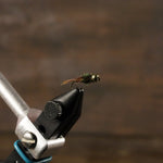 Pheasant Tail Thumbnail