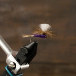 Parachute Purple Haze Thumbnail