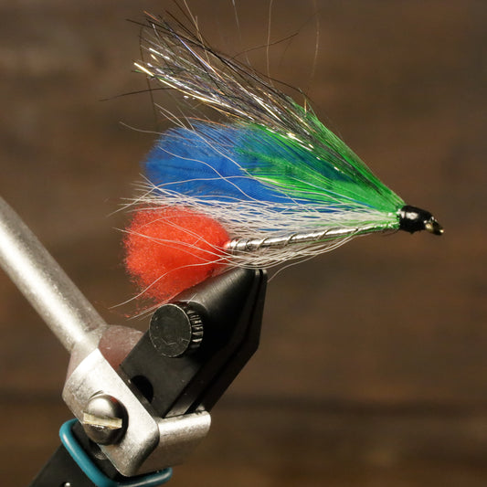 Little Brook Trout