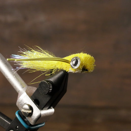 Fish Tail Popper