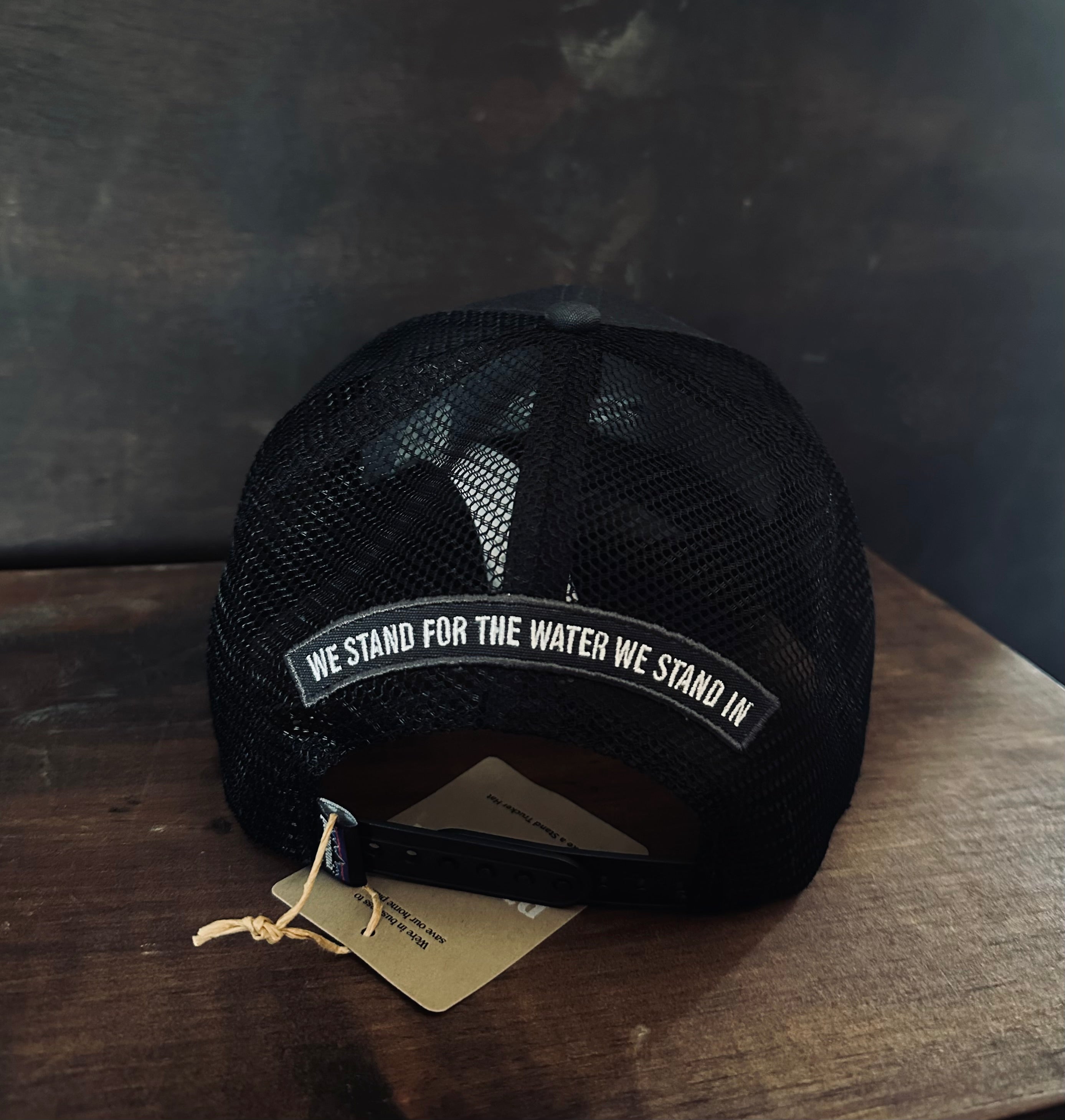 Patagonai Fly Fish- Take a Stand Trucker Hat