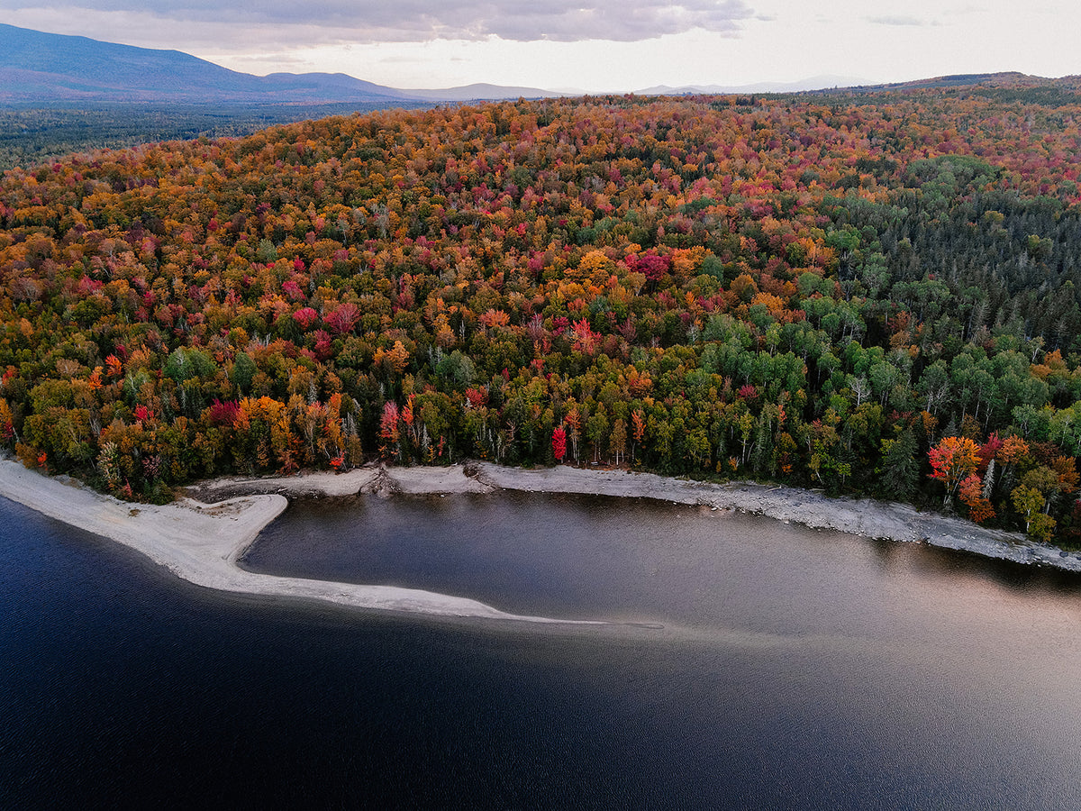 The Secret Seasons: Chasing Trophy Trout Through Fall & Winter-10/10/26