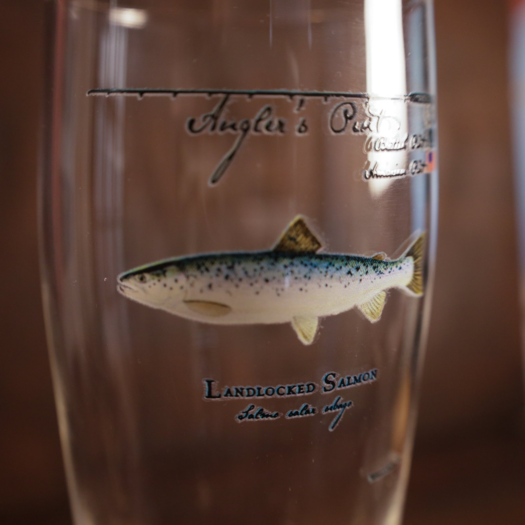 Anglers Pint Glass- (4 to choose from)