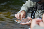 Bugged Out: A No-Nonsense Guide to Trout Stream Insects- 5/16/26 - Maine Fly Company Thumbnail