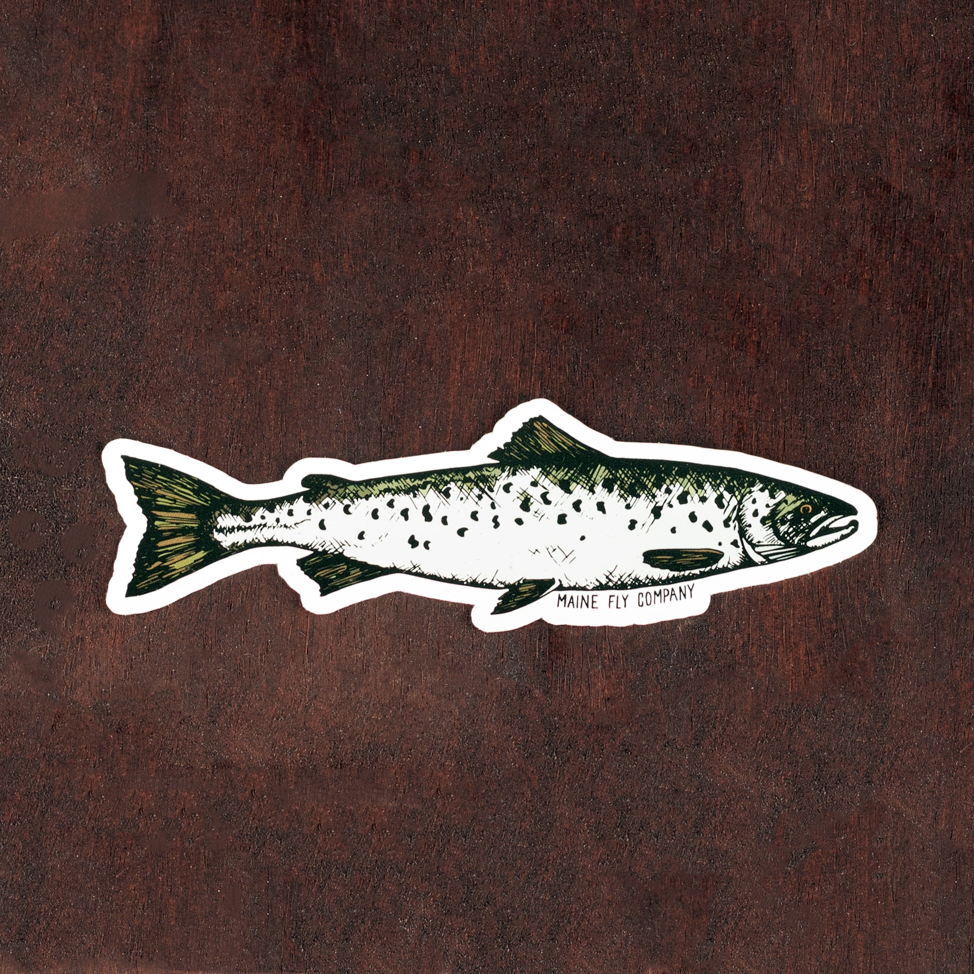 Landlocked Salmon Sticker - Maine Fly Company